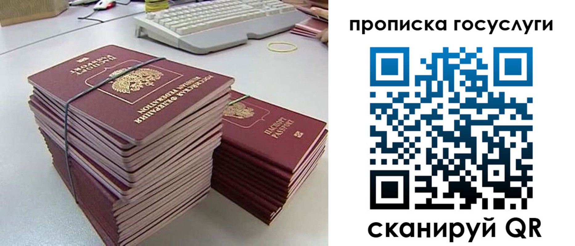 временная регистрация для школы в Дубне